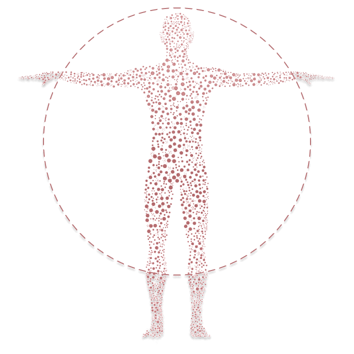 Tác dụng của nhân sâm Hàn Quốc đối với sức khỏe