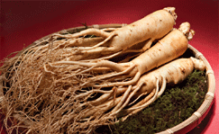 Nhân sâm Hàn Quốc