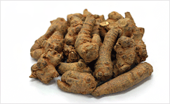 Nhân sâm Trung Quốc