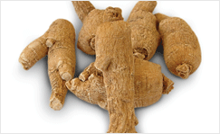 Nhân sâm phương Tây