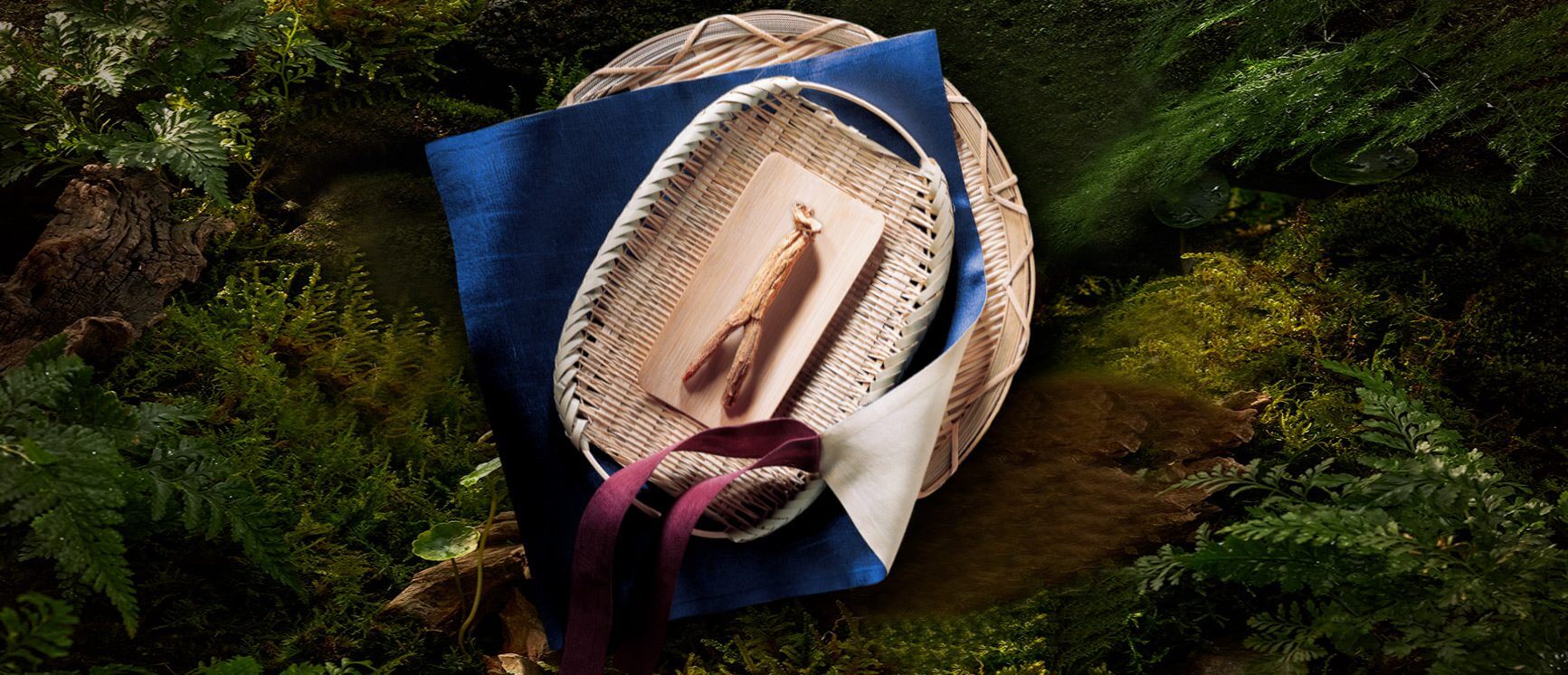 Lợi ích của nhân sâm