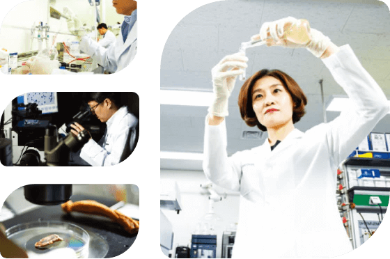 Liên tục nghiên cứu về hiệu quả, công nghệ & an toàn