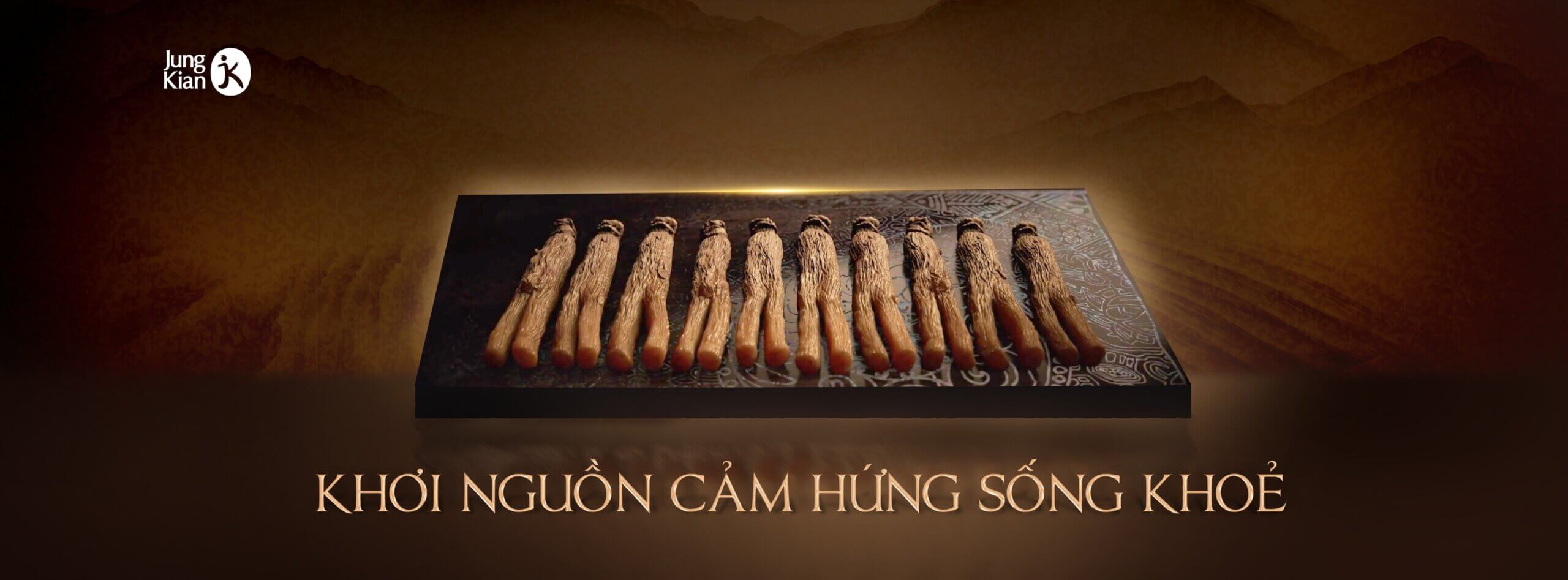 sâm cử khô bảo vệ sức khỏe