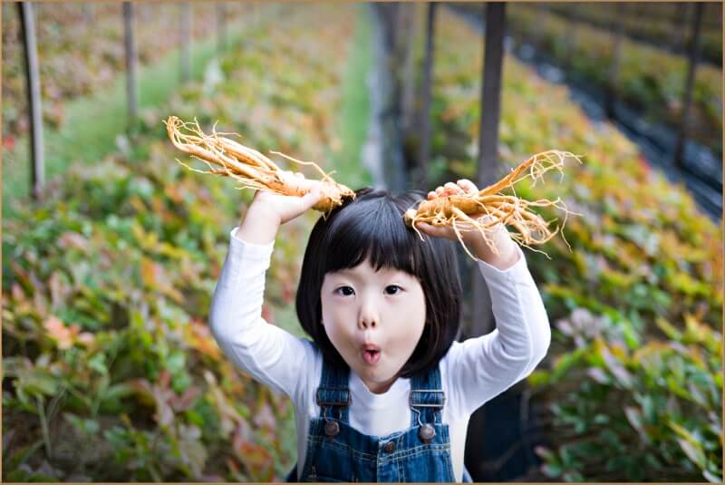 Nông trường Nhân Sâm Hàn Quốc Jung Kian