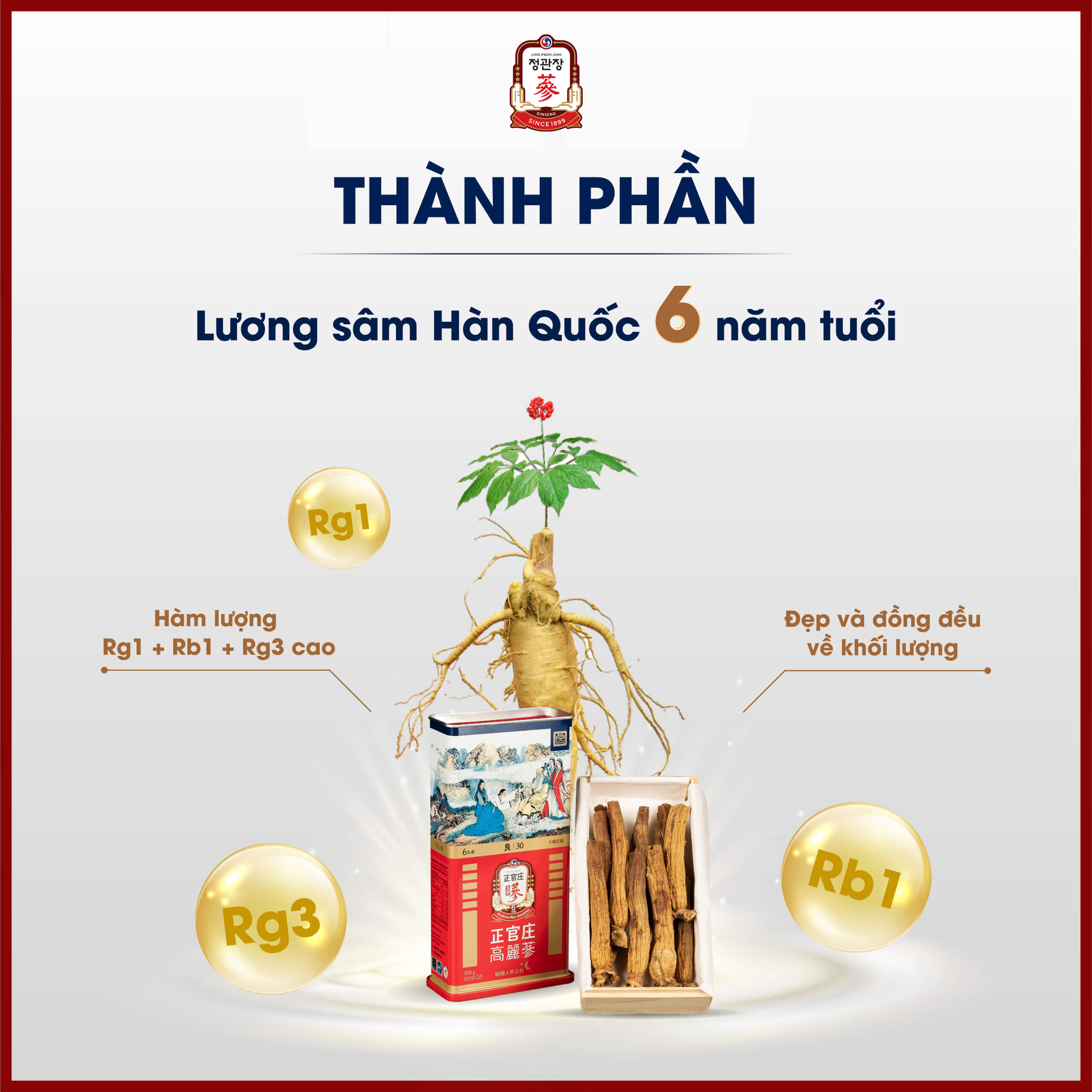 Lương sâm 6 năm tuổi với nhiều hoạt chất quý