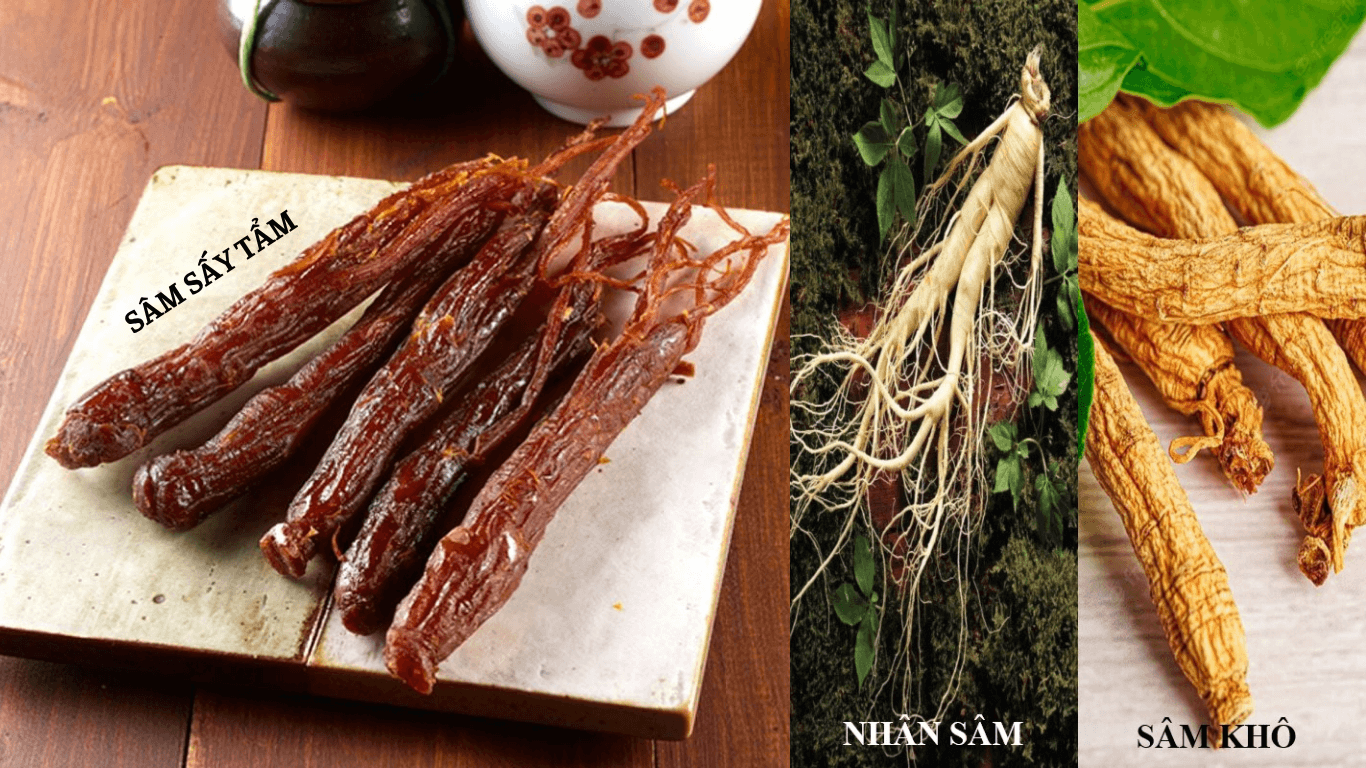 Sâm tẩm mật ong là dạng bào chế từ Nhân sâm tươi và Sâm khô