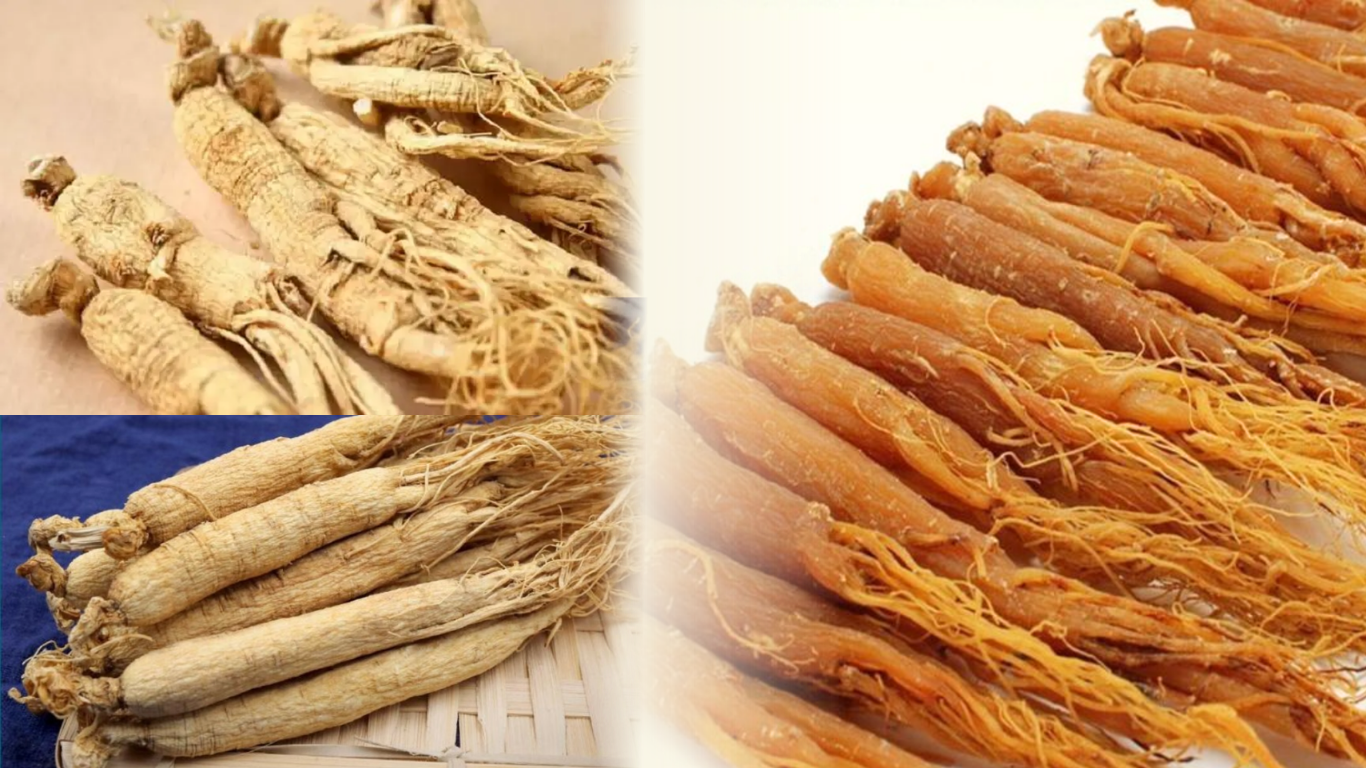 Hồng sâm củ khô Hàn Quốc đước đánh giá là sản phẩm có giá trị dinh dưỡng cao