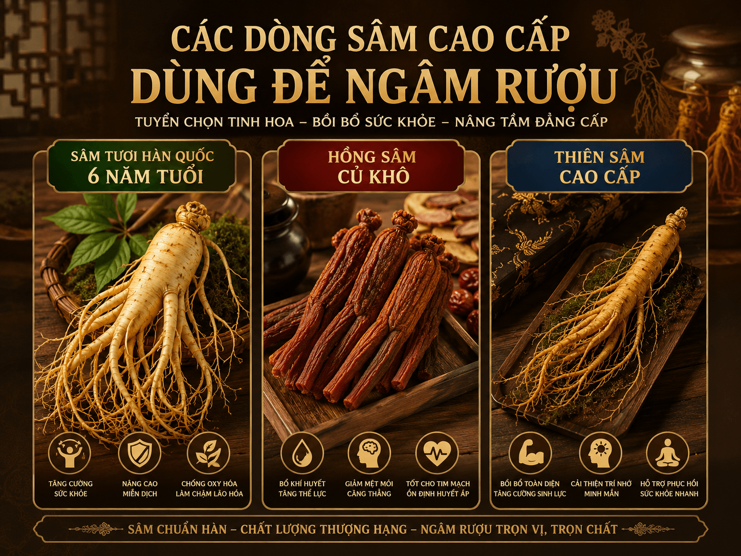 Tinh hoa bồi bổ sức khỏe là ngâm rượu bằng Sâm Hàn Quốc