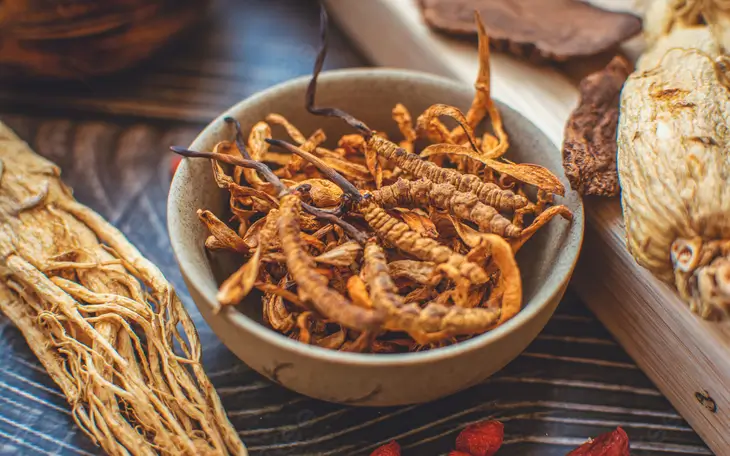 Đông trùng hạ thảo