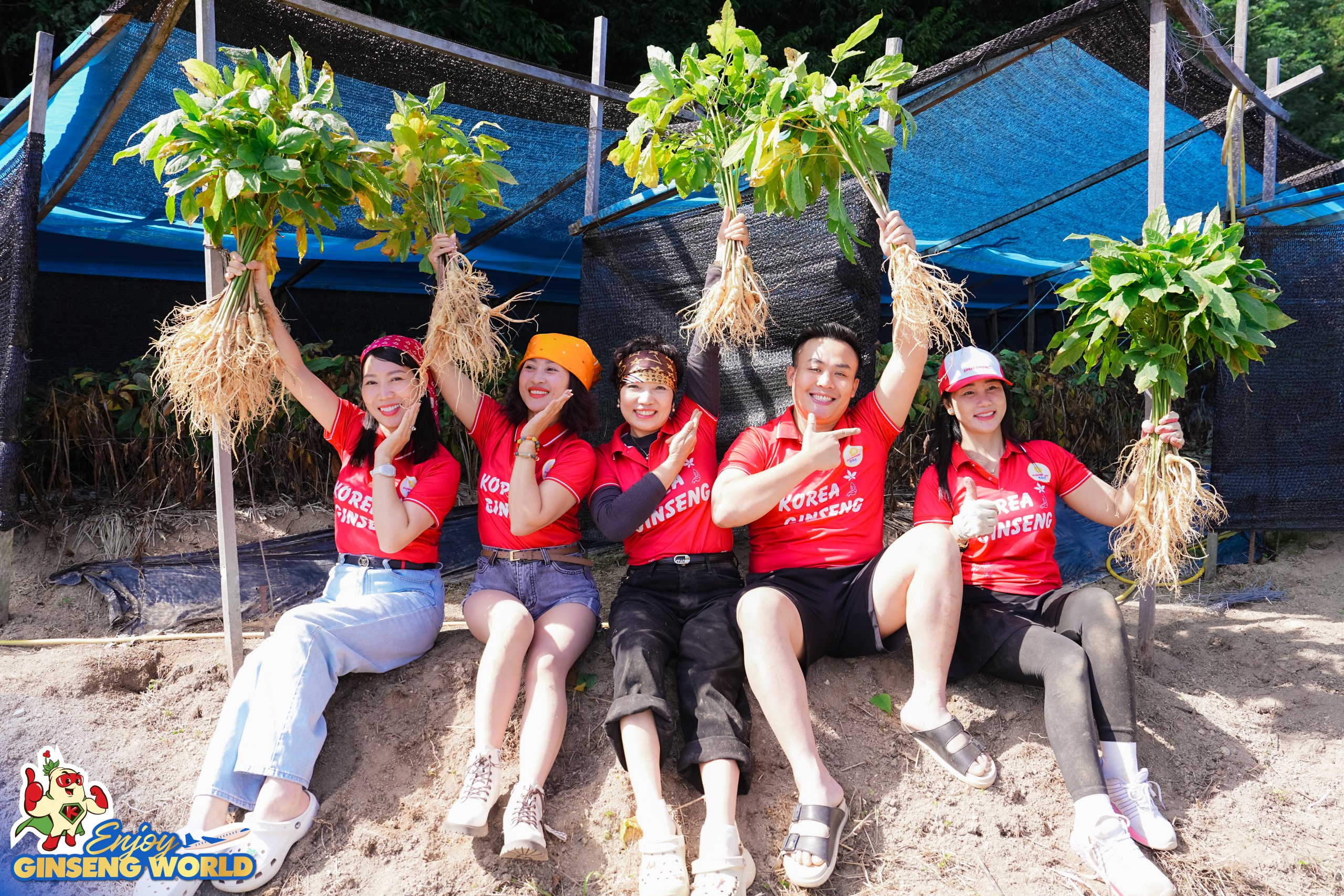 Enjoy Ginseng World