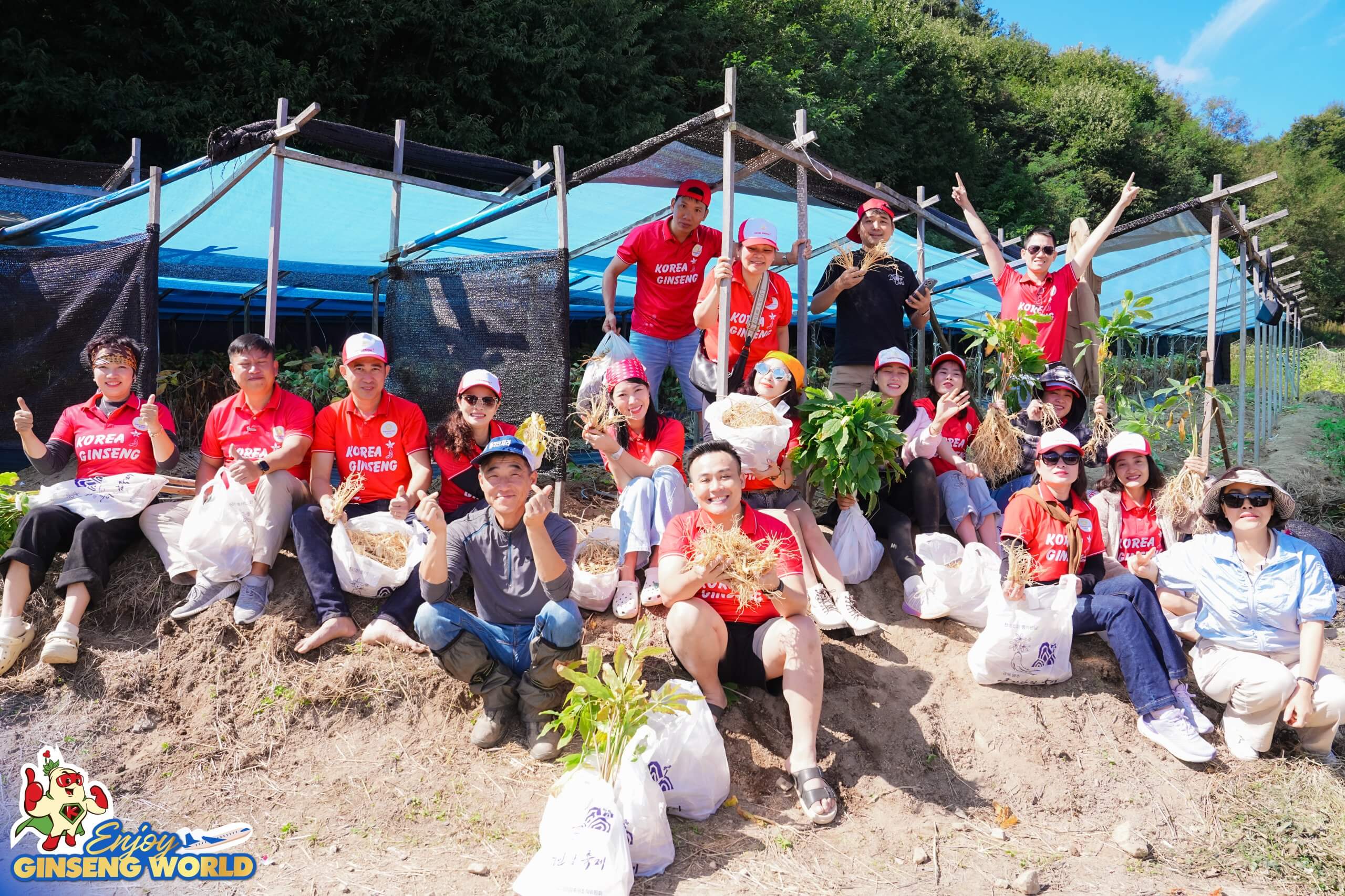 Enjoy Ginseng World